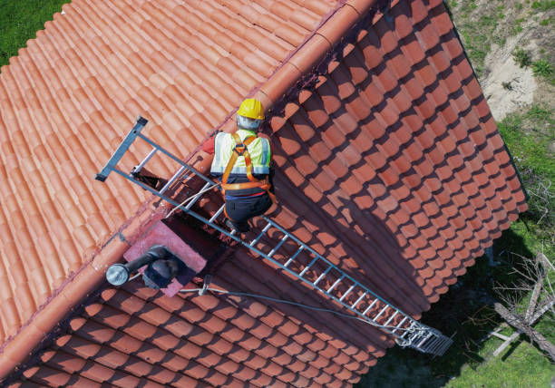 Best Asphalt Shingle Roofing  in Lowell, MI